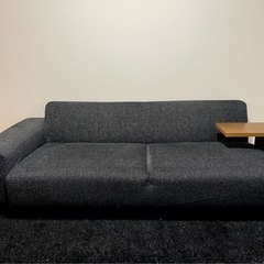 ★早い者勝ち★80%OFF【美品】NOYES Decibelソファ3P（2人掛け）【新年度SALE】