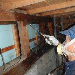 害虫駆除作業員　募集！！週3日からOK！未経験者歓迎！社員登用有！！の画像