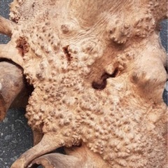 流木　飾り　オブジェ　置物の画像