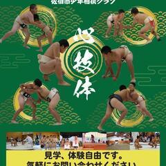 相撲しませんか