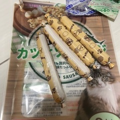 猫ちゃんのご飯の画像