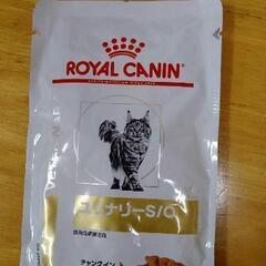 ロイヤルカナン猫用ウエットの画像