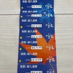 南区　小金湯温泉　夜割チケット