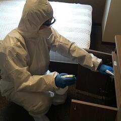 実働3～4時間程！未経験可！土日のみ可！病院や宿泊施設での清掃及び消毒作業の画像