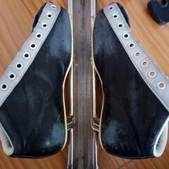 スピードスケート20cmの画像