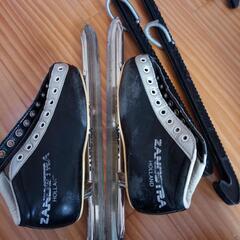 スピードスケート20cmの画像