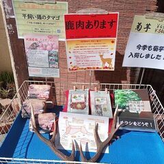 超珍重！熊肉販売しています！の画像