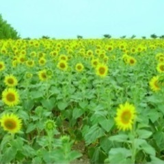 話してスッキリしませんか？