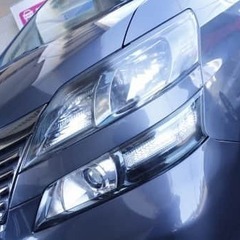 プラチナセレクション・・・☆彡