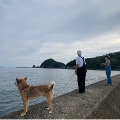 釣り仲間募集🎣