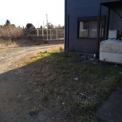 アパート周りの草刈と清掃をお願いします。の画像