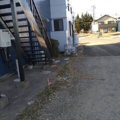 アパート周りの草刈と清掃をお願いします。の画像