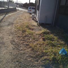 アパート周りの草刈と清掃をお願いします。の画像