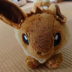 イーブイ ぬいぐるみの画像