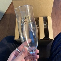 サッポロのグラス6個