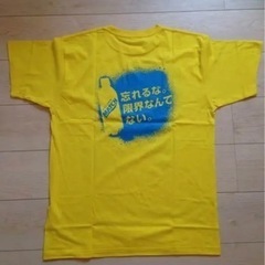 Tシャツ　Lサイズ5枚　(マッチ)の画像