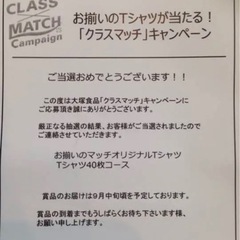 Tシャツ　Lサイズ5枚　(マッチ)の画像