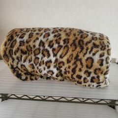 毛布　シングル