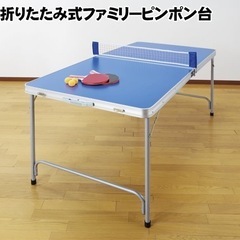 ★未使用 折りたたみ式ファミリーピンポン台 FL-1194