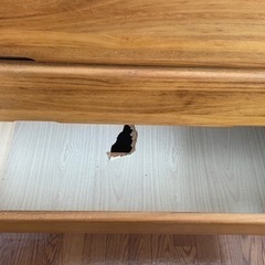 洋服ダンス　棚の画像