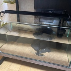 GEX スリム水槽