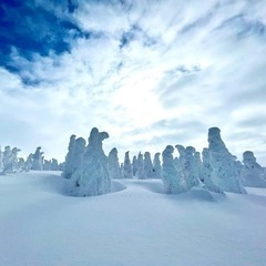 スノーボード、スキー仲間募集🏂