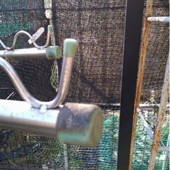 【決定】【2月14日取りに来れる方限定】物干し竿台の画像