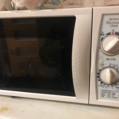 電子レンジ+電気鍋