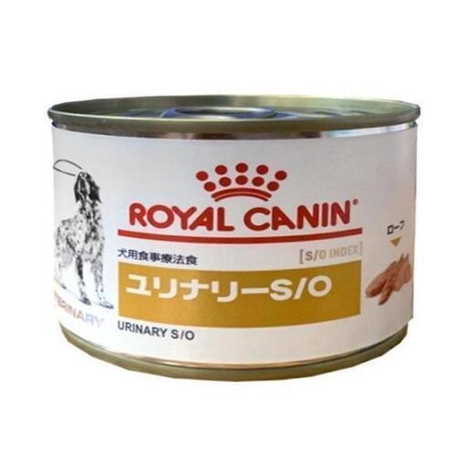 日本全国送料無料商品 | 特集 | 渥美隆作品 「裏磐梯」P10 油彩