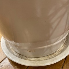 陶器の鉢　　白の画像