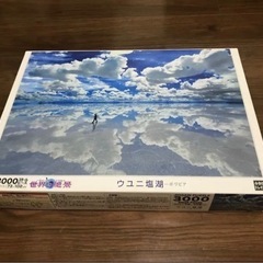 ボリビア ウユニ塩湖 3000ピースと73×102cmアルミ製フ...