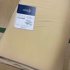 取引先決定済み。トゥルースリーパープレミアム3.5
