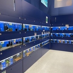 【正社員】ペットショップ犬猫販売スタッフの画像