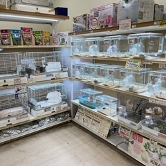 【正社員】ペットショップ犬猫販売スタッフの画像