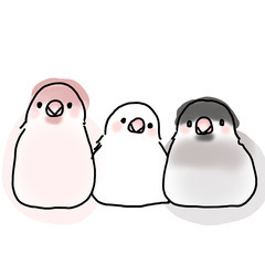 🌼朗読オープニングメンバー募集🌼3/25(金)10:00～🐦ボラ...