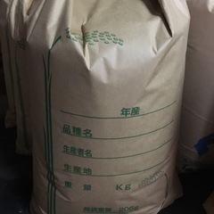 【令和5年新米】令和5年9月収穫　兵庫県産　30キロ　コシヒカリ
