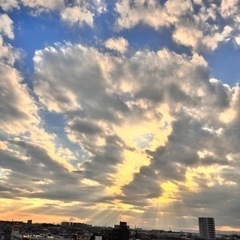 ２月１３日(日) 12:00〜 転職に興味のある方募集 − 東京都