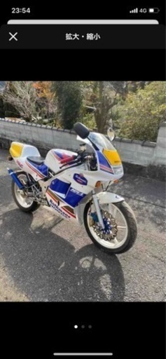 ns1 ロスマンズカラー