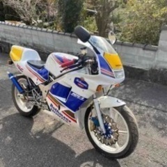 ns1 ロスマンズカラー