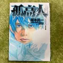孤高の人　1巻〜17巻　マンガ