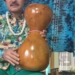 ハワイアンミュージック教室　Kapalili Clubの画像