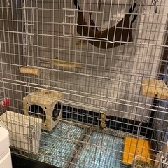 チンチラケージ