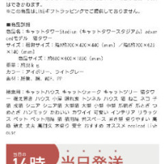 キャットタワー大☆の画像