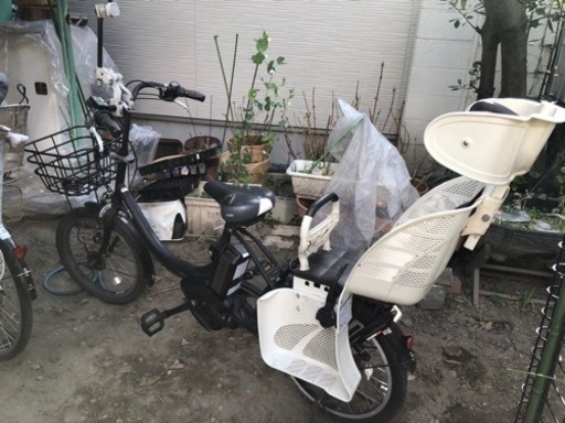 YAMAHA パスバビー