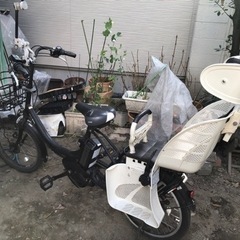 YAMAHA パスバビー