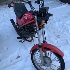 ホンダ　ラクーン50 鍵有　書無の画像