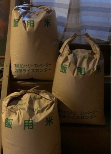【取引先決定】出雲市産　きぬむすめ（玄米）