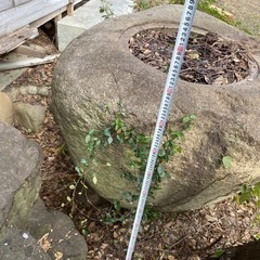 庭石　水鉢　巨大の画像