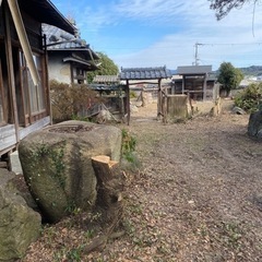 庭石　水鉢　巨大の画像