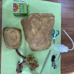 爬虫類飼育セット（水槽・ライト等すぐに飼育可！）の画像